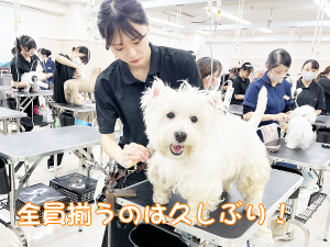 新学期になりました♪